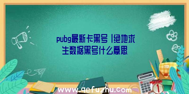 「pubg最新卡黑号」|绝地求生数据黑号什么意思